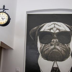 Appartement met een Slaapkamer